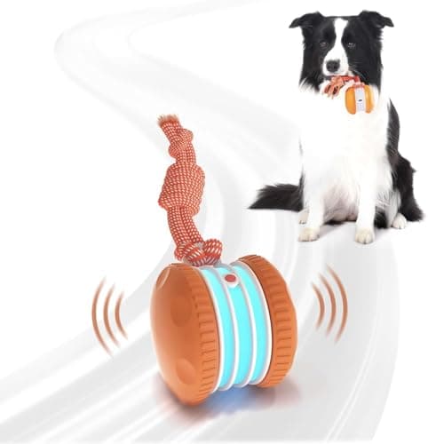 QGI Interactive Dog Toy Review – Is This Motion-Activated Ball Worth It?