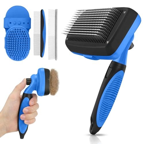 Spazzola Grooming Cane Gatto – Recensione Completa AUSRKI 5-in-1