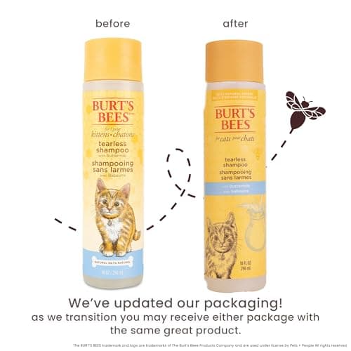 Burt's Bees for Pets Tearless Kitten Shampoo with Buttermilk and Honey, 99% Natural Origin Gentle Cat Shampoo for Sensitive and Itchy Skin, pH Balanced and Fragrance-Free, 10 Fl Oz