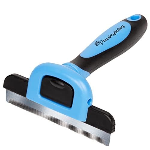 Freshly Bailey Cepillo Deshedder para Gatos - Revisión 2024