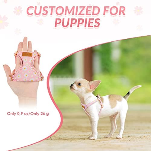 SlowTon No Pull Dog Harness with Leash - Soft Lightweight Floral Pattern Puppy Harness, Adjustable Pet Harness for Small Medium Dogs (Pink Daisy XXS)