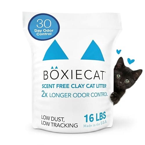 Boxiecat Unscented Litter Review: 30 Days Tested