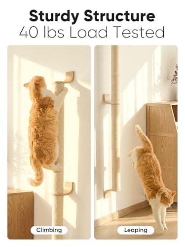 FUKUMARU Cat Wall Scratcher, 60" Tall Wall Mounted Kitten Scratching Post, Sturdy Sisal Climbing Tree for Indoor Large Cats