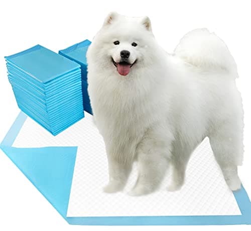 Dogcator Puppy Pads Extra Large – Notre Test Complet 2025