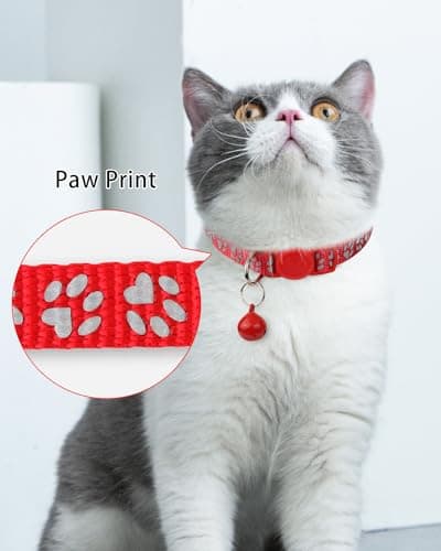 TagME Cat Collar with Name Tag, Personalized Reflective Cat Collar Breakaway, Pet Collar with Silent Slide On ID Tags for Boy and Girl Kitten/Cat