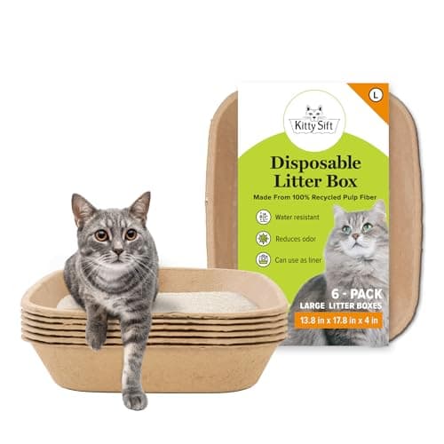 Kitty Sift Disposable Cat Litter Box Test 2025 – Lohnt sich das Einweg-Katzenklo?