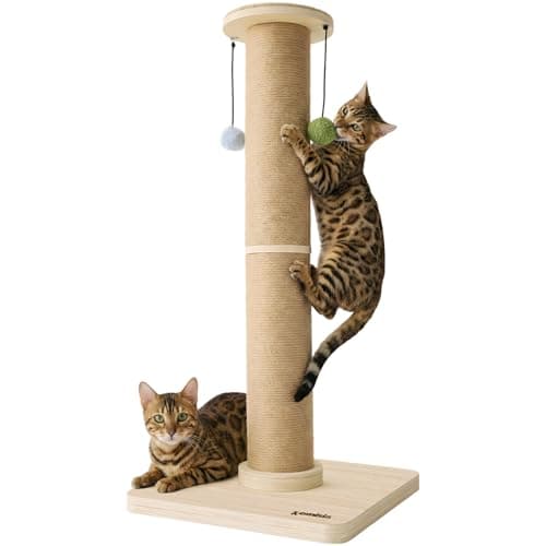 ZOMISIA Cat Scratching Post Review – Solid for Large Cats?