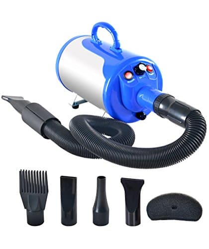 SHELANDY Groomer Partner Pet Hair Dryer Review – Expert Test 2025
