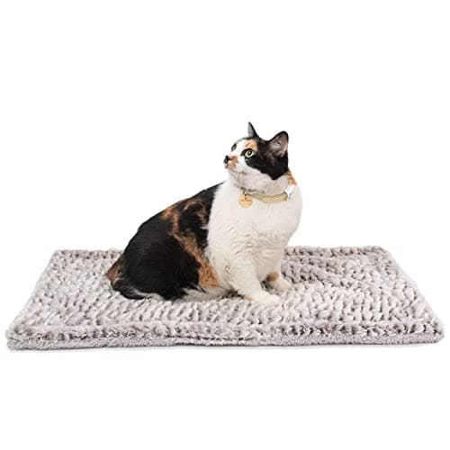 Mora Pets Self Heating Cat Pad Review: Extra Warmth Without Electricity