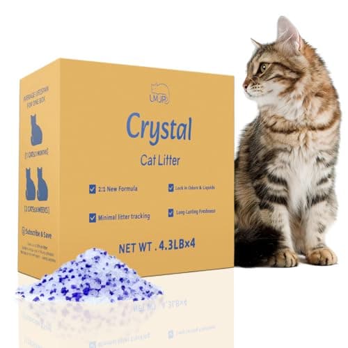 LMJP Crystal Cat Litter Review: Honest Hands-On Test (2025)