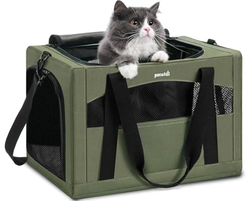 Pecute Kattbur Test 2025 – Stabil & Ångestlindrande Resväska för Katter