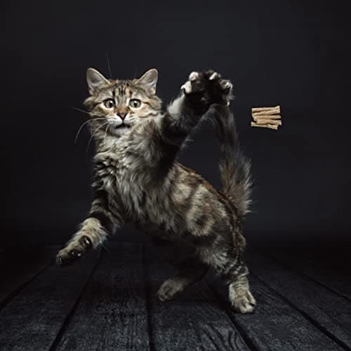 Cat Dancer Interactive Cat Toy - Fun and Fitness for Your Furry Friend - Engaging Paper Roll Attached with 30 Inches Flexible Spring Steel Wire for Playful Cats – 2 Pack