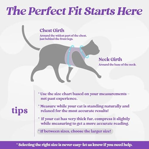 rabbitgoo Cat Harness and Leash Set for Walking Escape Proof, Adjustable Soft Kittens Vest with Reflective Strip for Cats, Comfortable Outdoor Vest, Purple, S