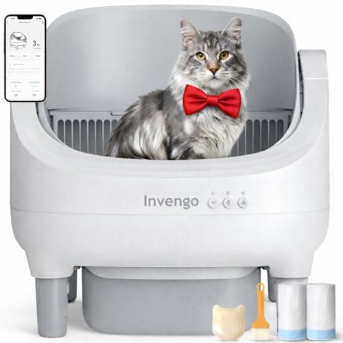 Invengo automatisk kattsandsbox – är den värd priset?