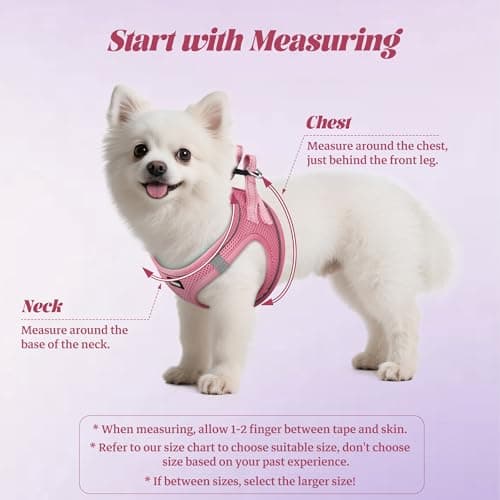 YIMEIS Dog Harness and Leash Set, No Pull Soft Mesh Pet Harness, Reflective Adjustable Puppy Vest for Small Medium Large Dogs, Cats (Pink, X-Small (Pack of 1)