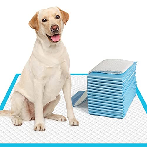 IMMCUTE Large Dog Pee Pads Review: 50-Count 28x30" Potty Pads Tested