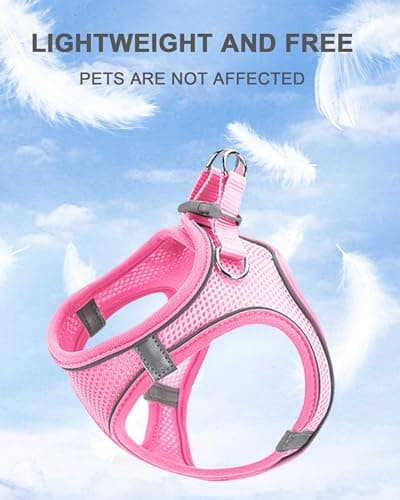 JUFOO XXXS Pink Soft Mesh Dog Harness and Leash Set,No Escape Puppy Harnesses for Training Walking, Reflective Adjustable Puppy Vest for Small Medium Dogs, Cats (Pink, XXXS)