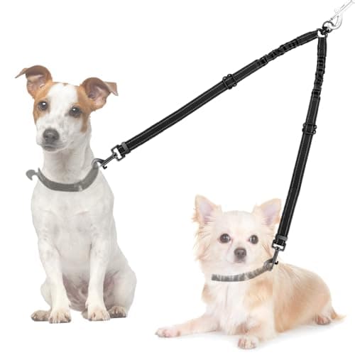 AUTOWT Doppio Guinzaglio: Recensione Onesta del Connettore per Due Cani