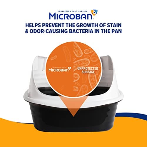 Arm & Hammer Rimmed Cat Litter Box with High Sides and Microban, Made in USA