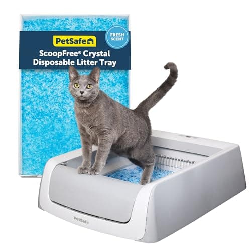 PetSafe ScoopFree Crystal Pro Legacy Review: Hands-On Test