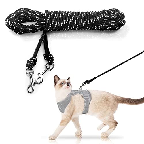 Correa extensible para gatos NEOGULY 9M: análisis completo