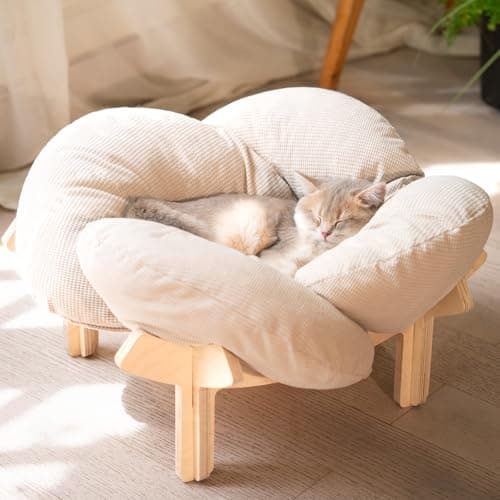 Erhöhtes Katzenbett Holz Test 2025 – CHEERHOME PETS Review