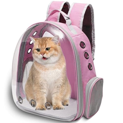 Vivicreate Sac à Dos Transport Chat – Test et Avis Complet