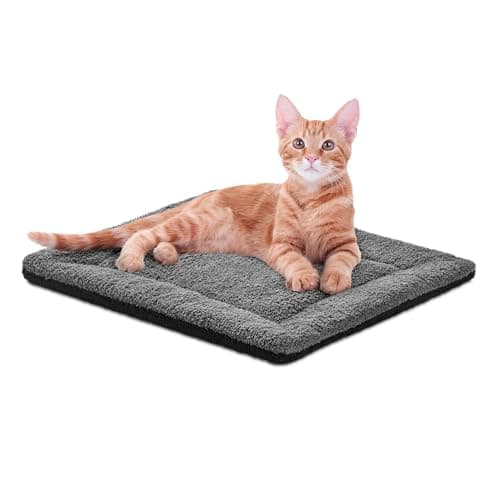 K&H Self-Warming Cat Bed Pad Review: Honest Verdict After Real Testing
