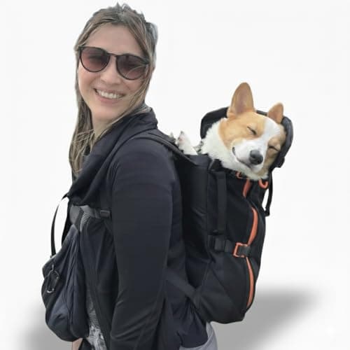 Maxine One Little Chonk : test complet du sac à dos transport chien Medium