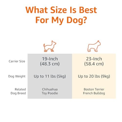 Amazon Basics Sturdy Portable 2-Door Top-Load Hard-Sided Pet Travel Carrier with Secure Ventilation, Handle, Front & Top Entry for Dogs, Cats, 22.8"L x 15"W x 13"H, Gray & Blue