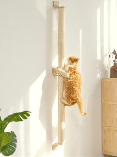 FUKUMARU Cat Wall Scratcher Test 2025 – Avis Complet