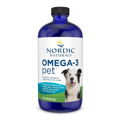 Nordic Naturals Omega-3 Pet Test: Hochwertiges Fischöl für Hunde