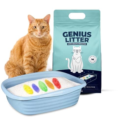 Genius Litter Cat Litter Review 2024 – Honest Hands-On Test