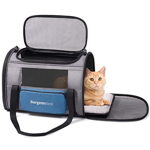 Transportín para Gatos Grande BurgeonNest – Reseña Completa 2025