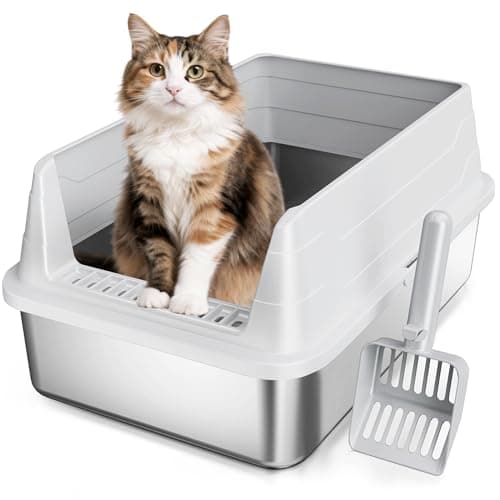 KISENG Stainless Steel Cat Litter Box Review – Worth It?