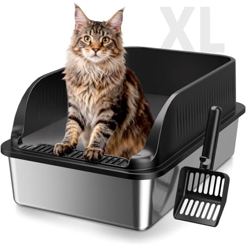 KISENG XL Rostfri Kattlåda – Är den Värt Pengarna?