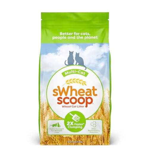 sWheat Scoop Natural Wheat Multi-Cat Litter – Mon avis après 6 mois