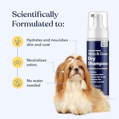 Honest Paws Dog Dry Shampoo - Waterless No Rinse Foaming Formula Reducing Itch Cleanse Hydrate Nourish Dry Skin and Smelly Coat Help Decrease Odor Shedding and Allergies - Oatmeal & Lavender - 6.3 oz