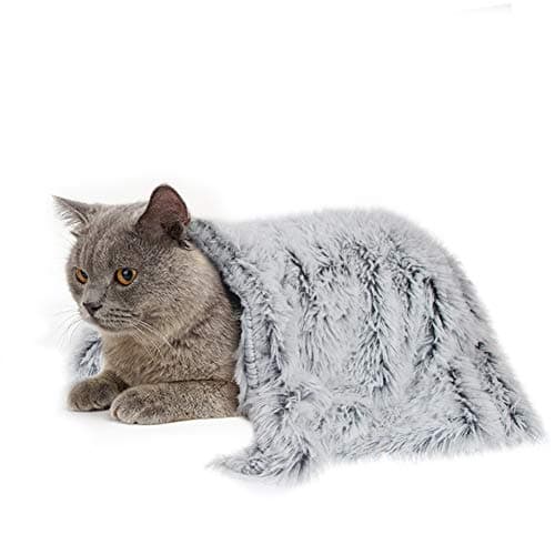 Recensione Coperta PJYuCien per Cani e Gatti 2025