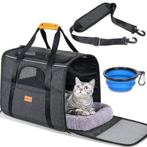 Morpilot Cat Carrier Review – Spacious Soft Carrier for Cats Up to 20lbs