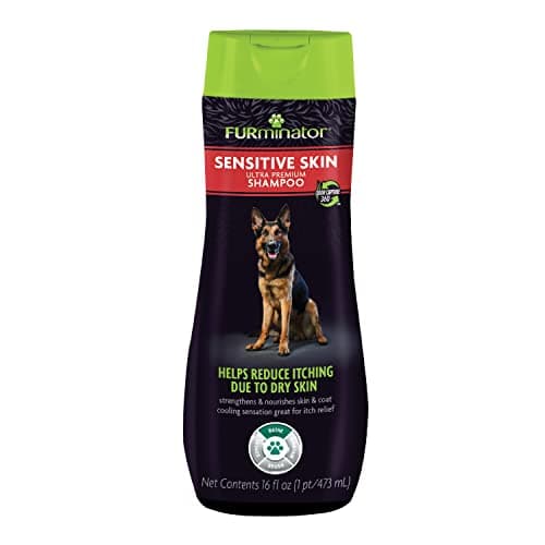 FURminator Sensitive Skin Shampoo Test 2025 – Hilft es wirklich bei empfindlicher Hundehaut?