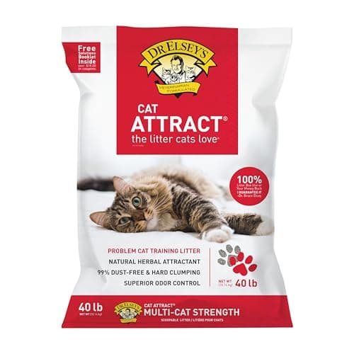 Dr. Elsey's Cat Attract : Test Complet de la Litière Agglomérante