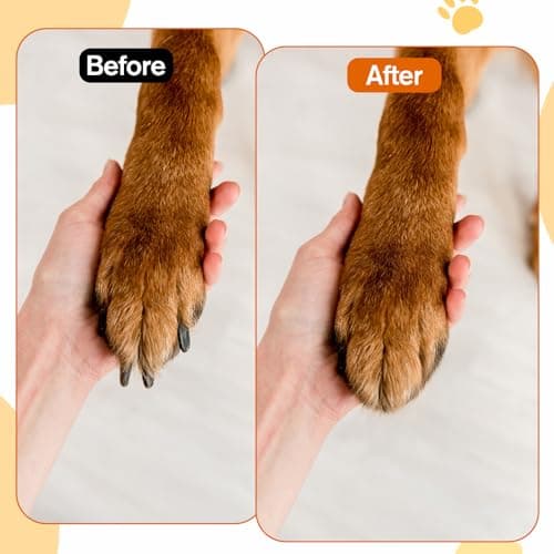 YBEATY Dog Nail File with Replaceable Filing Disc Dog Nail File Scratch Board Replaceable Sandpaper Stress Free Nails Filing Dogs Trainning Accessories for Smooth and Healthy Nails