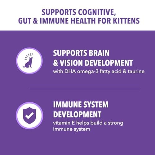 IAMS Proactive Health Kitten Dry Cat Food, Healthy Kitten Food Dry Recipe with Real Chicken in Every Bite, 3.5 Lb. Bag