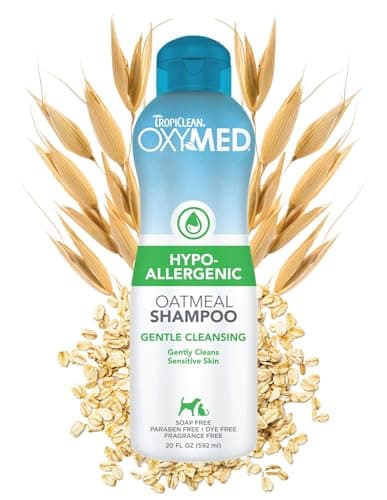 TropiClean OxyMed Hunde Shampoo Test & Erfahrung 2024