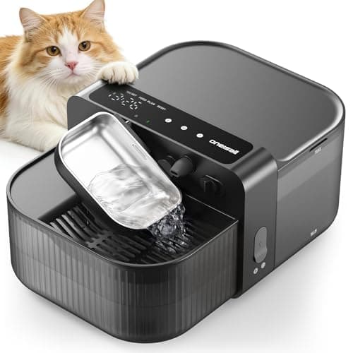 oneisall Katzenbrunnen Test: Filterloser Trinkbrunnen im Check