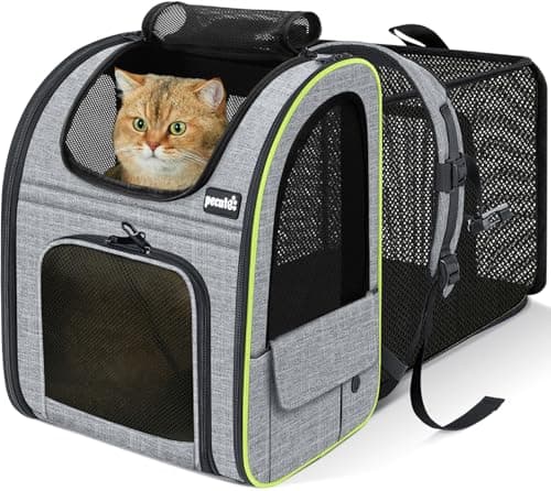 Pecute Cat Backpack Carrier : Test Complet du Sac de Transport Expandable pour Chat