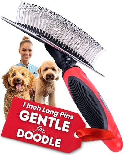 Brosse Slicker Bixy Pixy – Mon Test et Avis Complet (2025)
