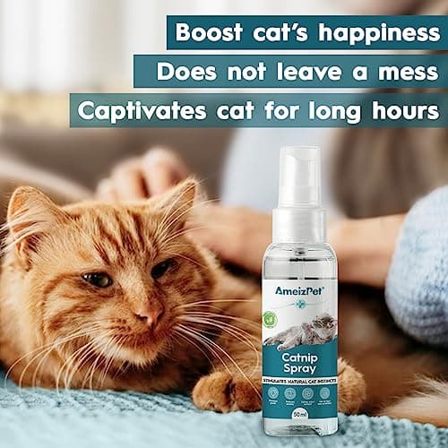AmeizPet Catnip Spray for Cats, Cat Scratching Sprays, Transparent Cat & Kitten Behaviour Spray 50 ml (1.69 Oz)