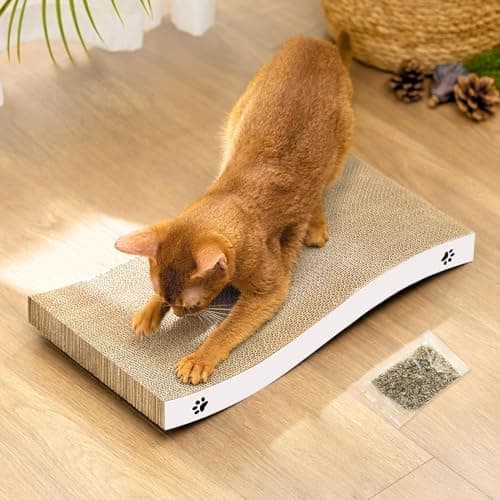 Coching Griffoir Carton Chat Medium Double Face Avis